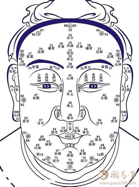 右顴骨有痣男|長在顴骨上的痣有何寓意